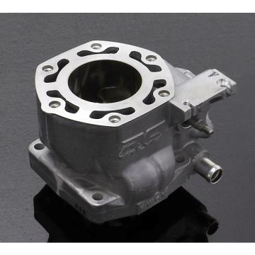 Tyga Performance (タイガパフォーマンス) 300ccシリンダーキット-NSR250R